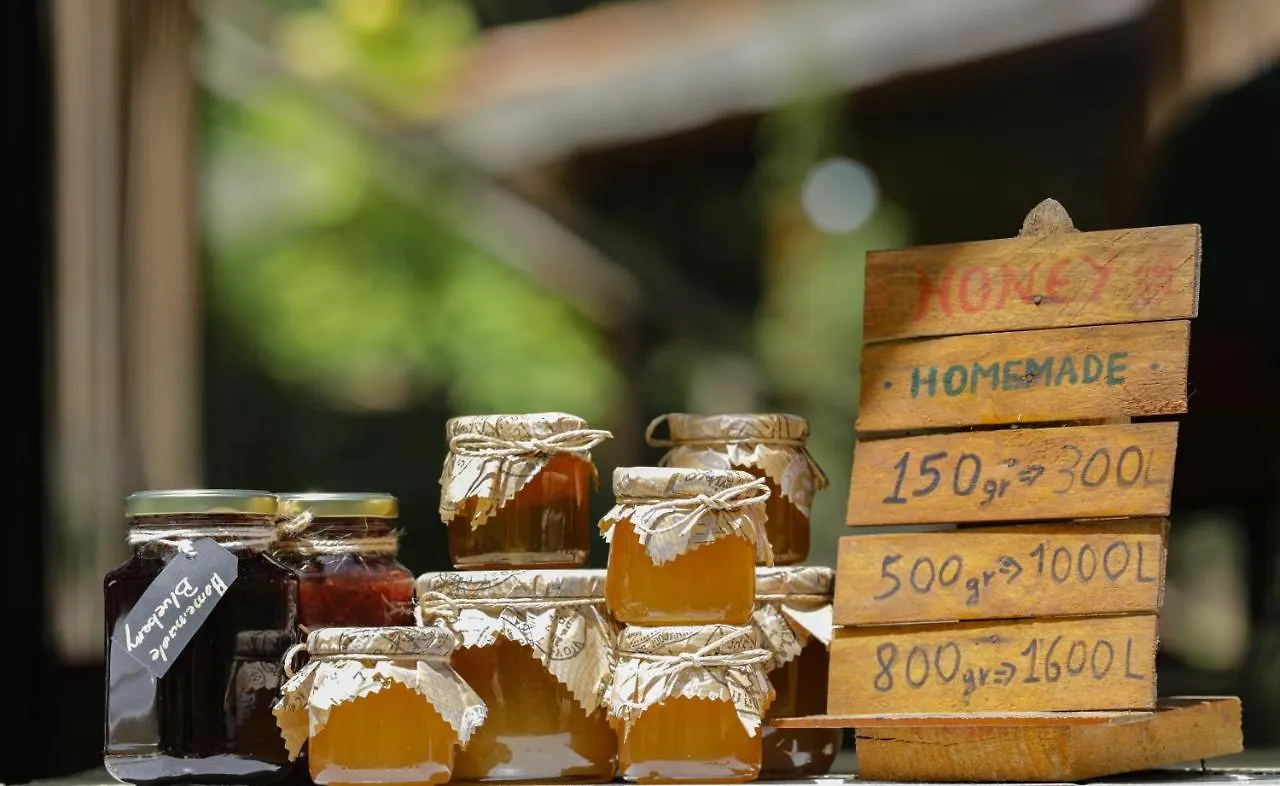 Bee Eco Guest House Moll' e Shoshit Albania