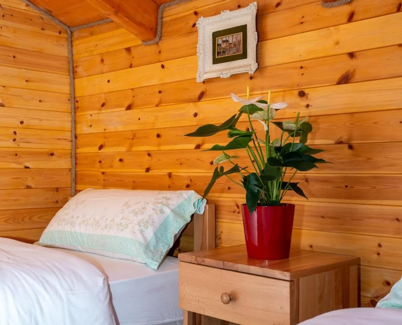 Bee Eco Guest House Moll' e Shoshit
