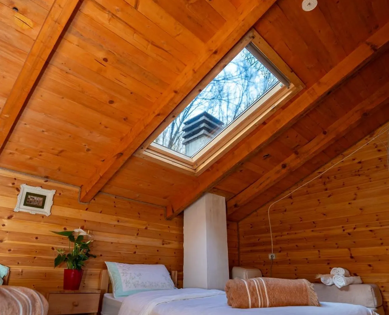 Bee Eco Guest House Moll' e Shoshit 0*,